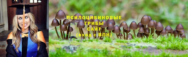 PSILOCYBIN Абинск