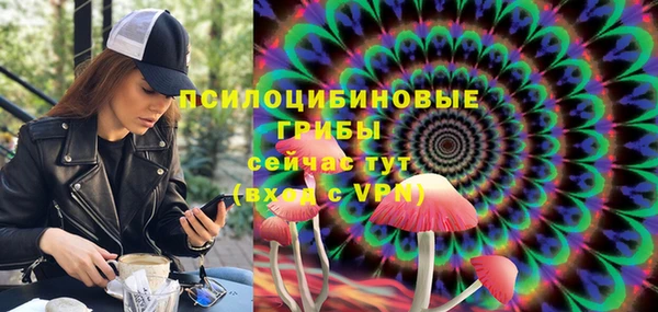 apvp Алзамай