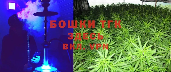 тгк Абаза
