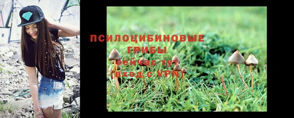 тгк Абаза