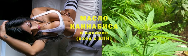тгк Абаза