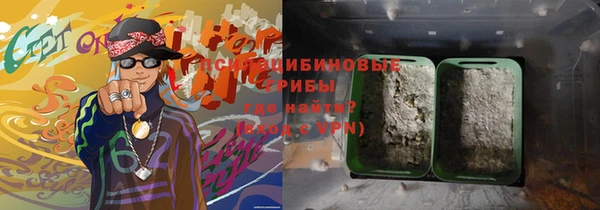тгк Абаза